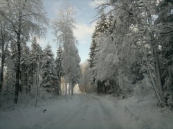 201201223727