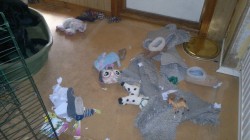 201205125082